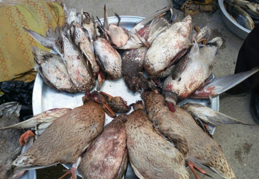 13961204150658683134309610